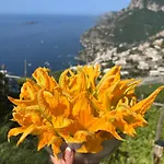 Colle Dell'ara 4* Positano