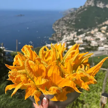 Colle Dell'ara 4* Positano