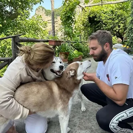Alojamento de Acomodação e Pequeno-almoço Colle Dell'ara