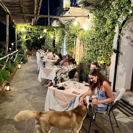 Oda ve Kahvaltı Colle Dell'ara Positano