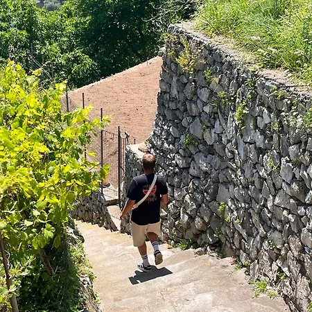 Colle Dell'ara Oda ve Kahvaltı Positano