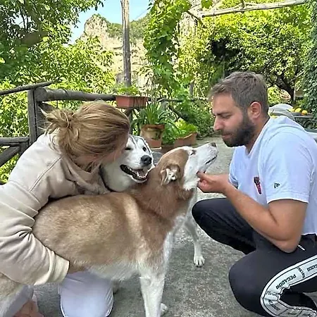 Отель типа 