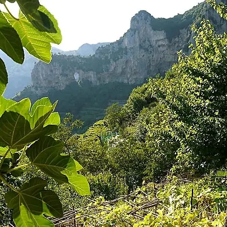 Colle Dell'ara Позитано