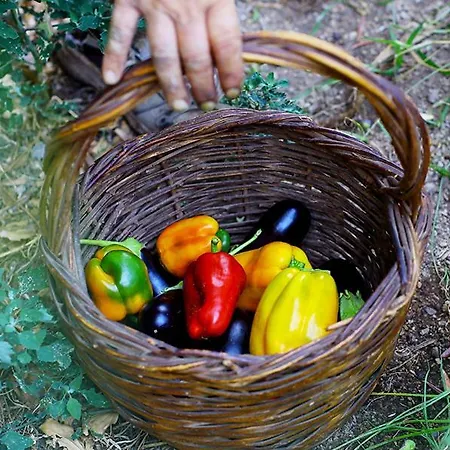 Nocleg ze śniadaniem Colle Dell'ara