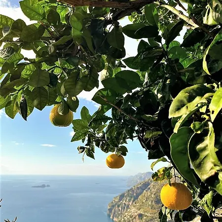 Colle Dell'ara Ποζιτάνο