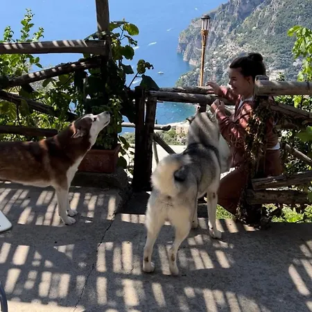 Colle Dell'ara Ποζιτάνο