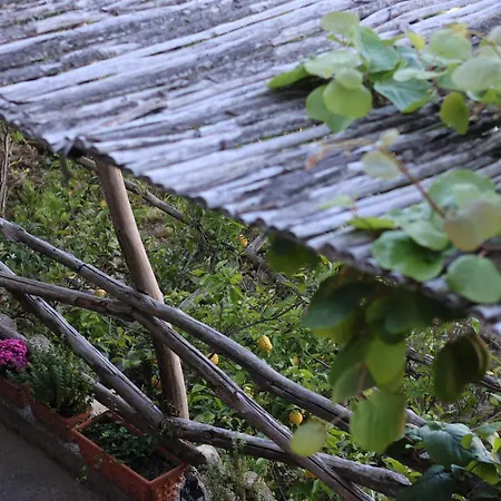 Colle Dell'ara Frühstückspension 4*