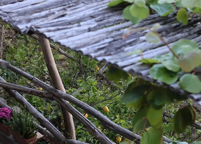 Colle Dell'ara Frühstückspension 4*