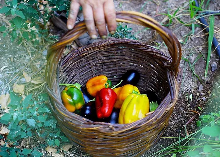 Frühstückspension Colle Dell'ara