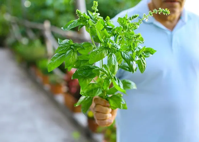 Colle Dell'ara Frühstückspension